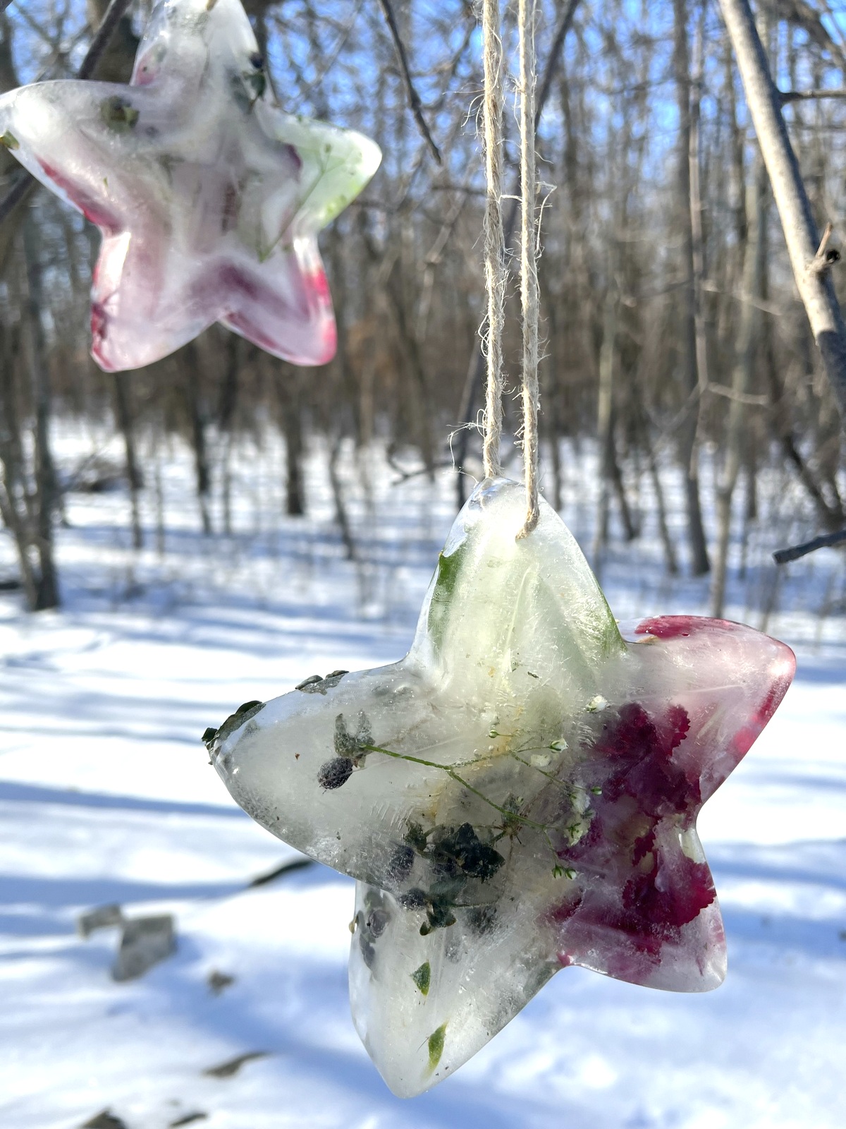 Simple Ice Ornaments