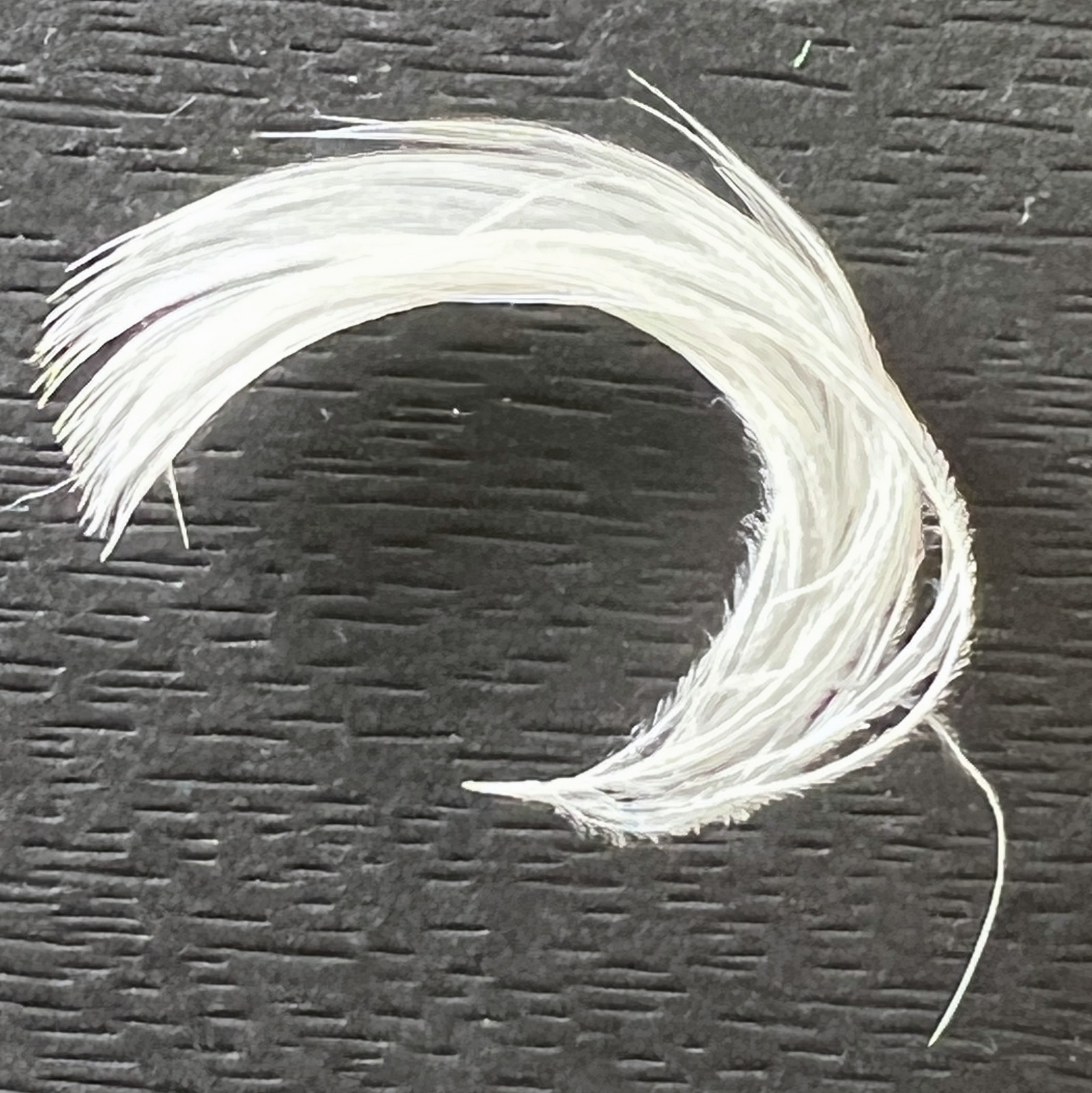 Angel Wings Feather . Feathers From Heaven . Feathers From Above . Memorial  Gift . Guardian Angel Feather . White Feathers . Love Feather 